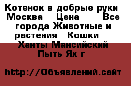 Котенок в добрые руки. Москва. › Цена ­ 5 - Все города Животные и растения » Кошки   . Ханты-Мансийский,Пыть-Ях г.